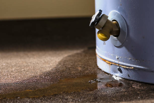 Best Emergency water extraction  in Milton, NY