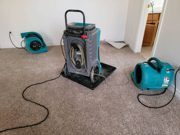 Best Ceiling water damage repair  in Milton, NY