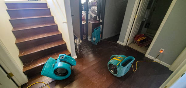 Best Fire Damage Restoration  in Milton, NY