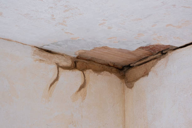 Best Flood restoration services  in Milton, NY