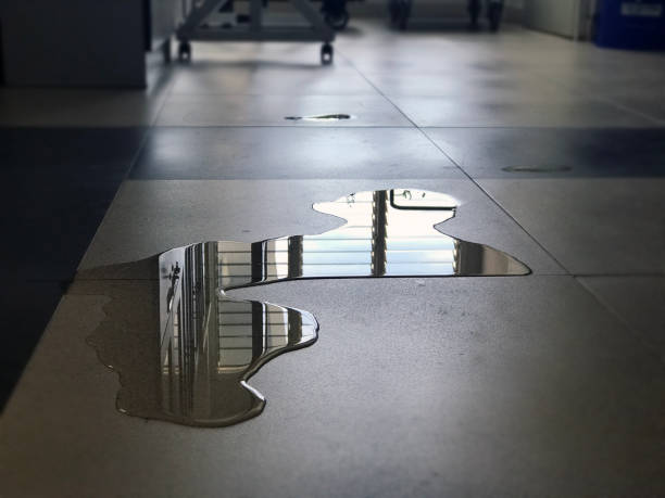 Best Local water damage restoration  in Milton, NY