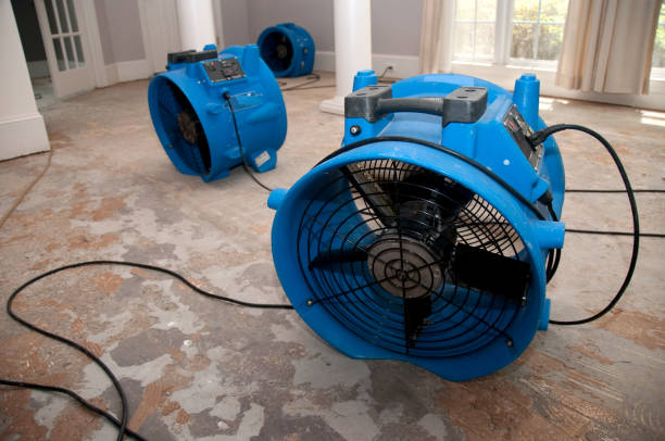 Best Commercial water damage restoration  in Milton, NY