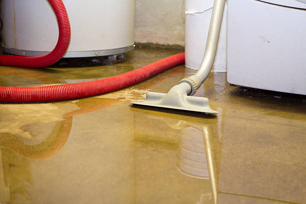 Best Water damage cleanup near me  in Milton, NY