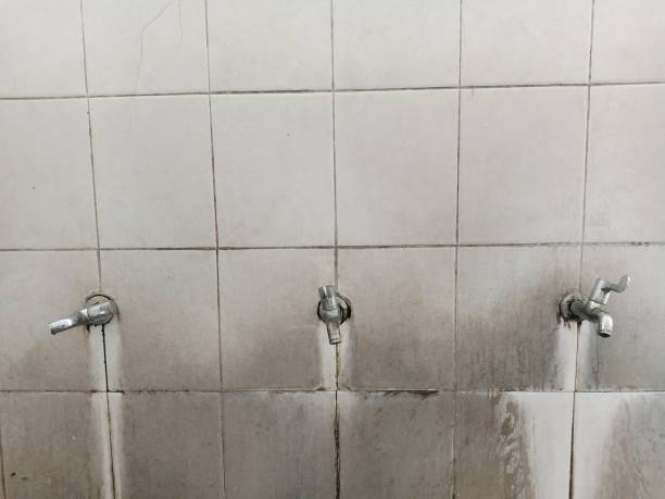 Best Emergency water damage restoration  in Milton, NY