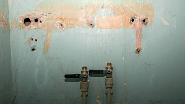 Best Local water damage restoration  in Milton, NY